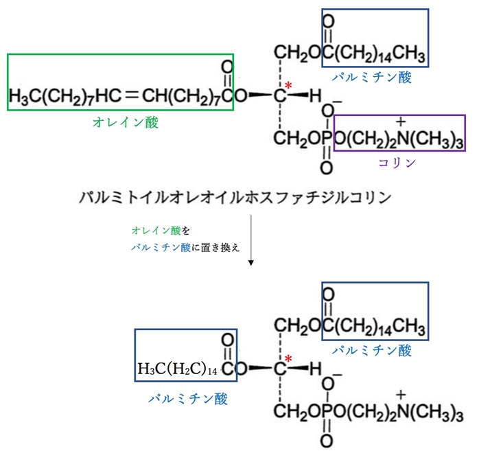 オレイン酸からパルミチン酸に置き換えると…95回薬剤師国家試験問14d